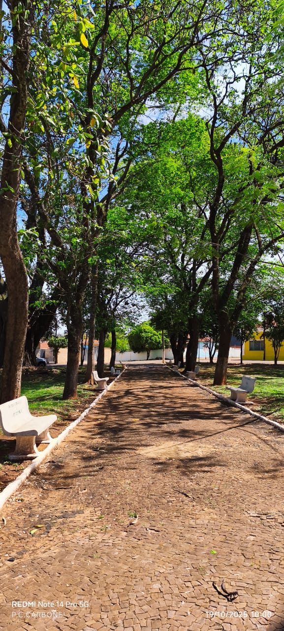 Café da manhã da equipe